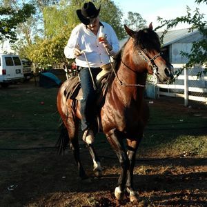 Meet your Posher, Pedro